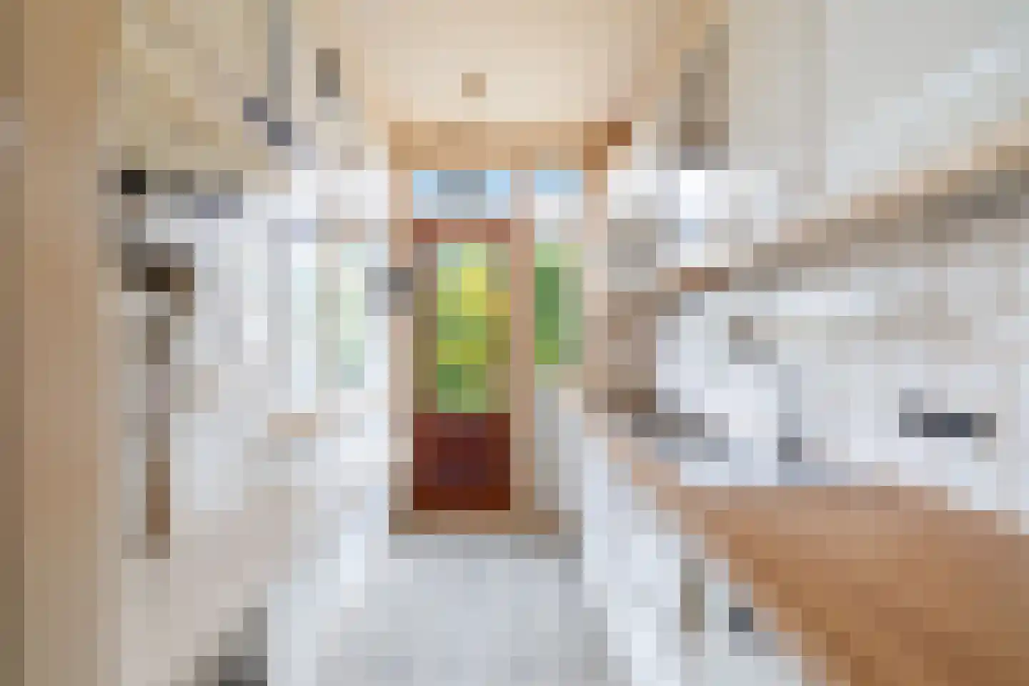 Leersumstraat 84 Den Haag thumbnail 11
