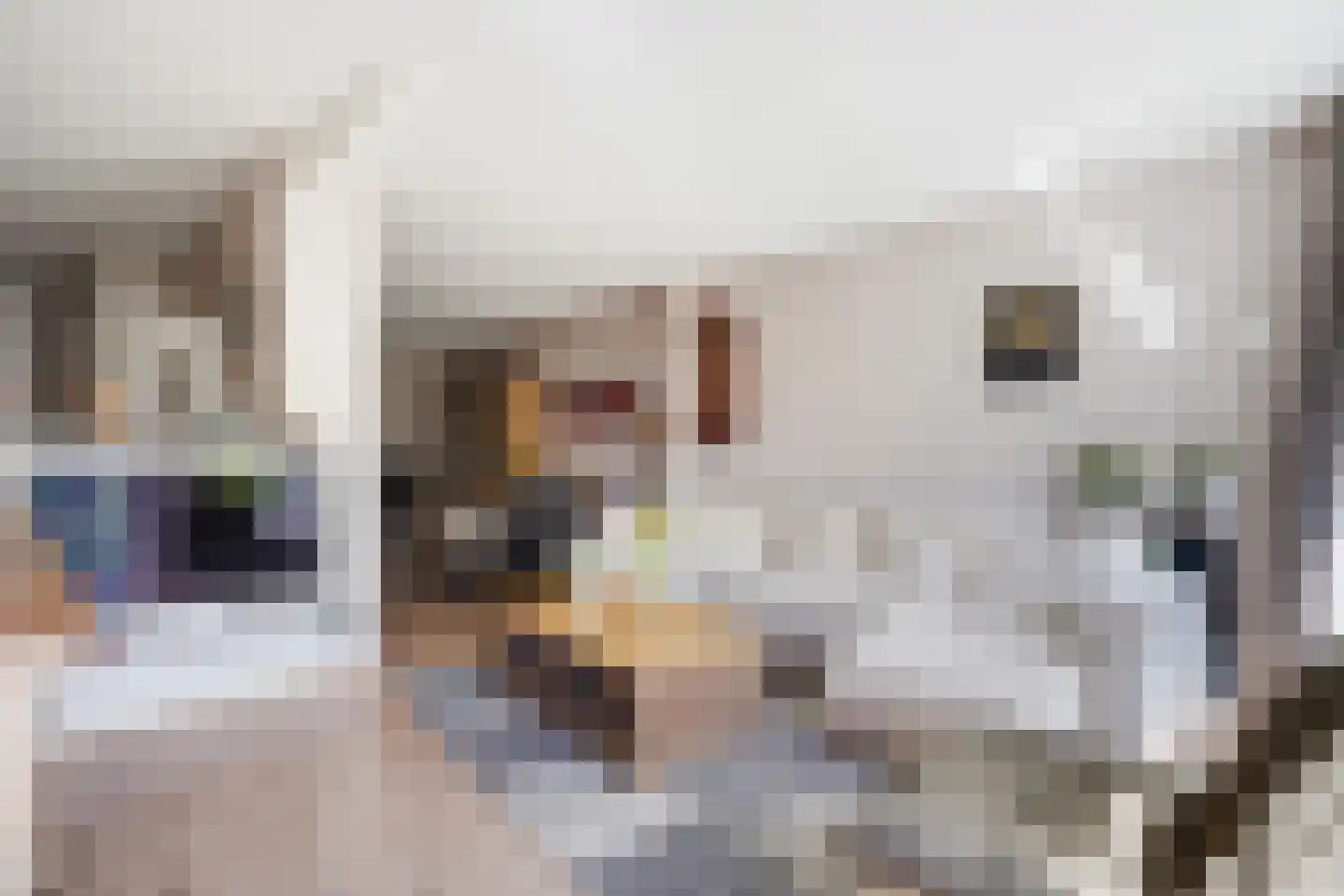 Leersumstraat 92 Den Haag thumbnail 10