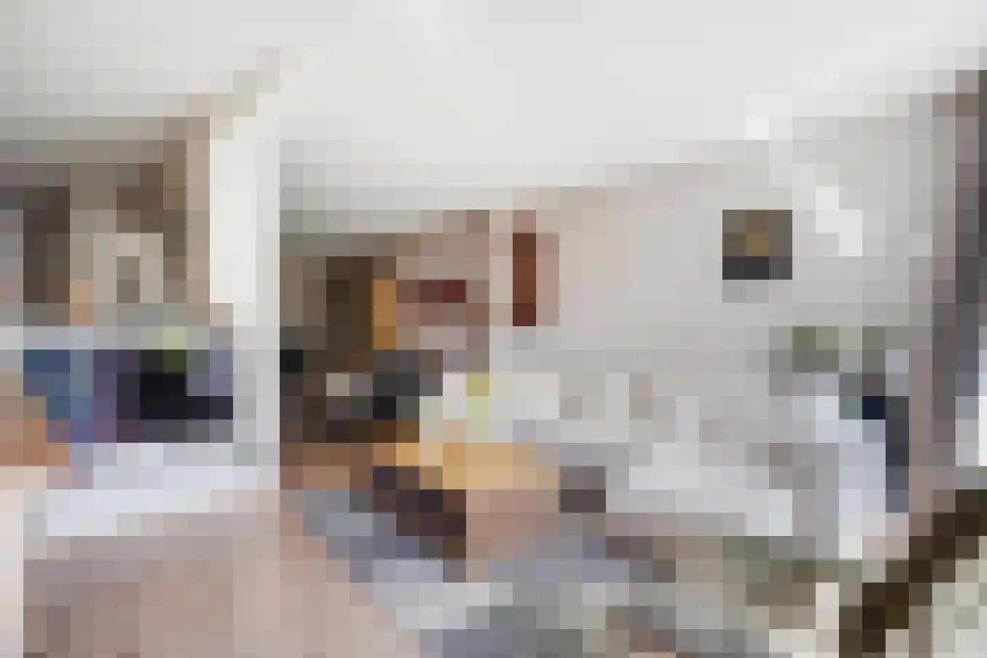 Leersumstraat 92 Den Haag thumbnail 10
