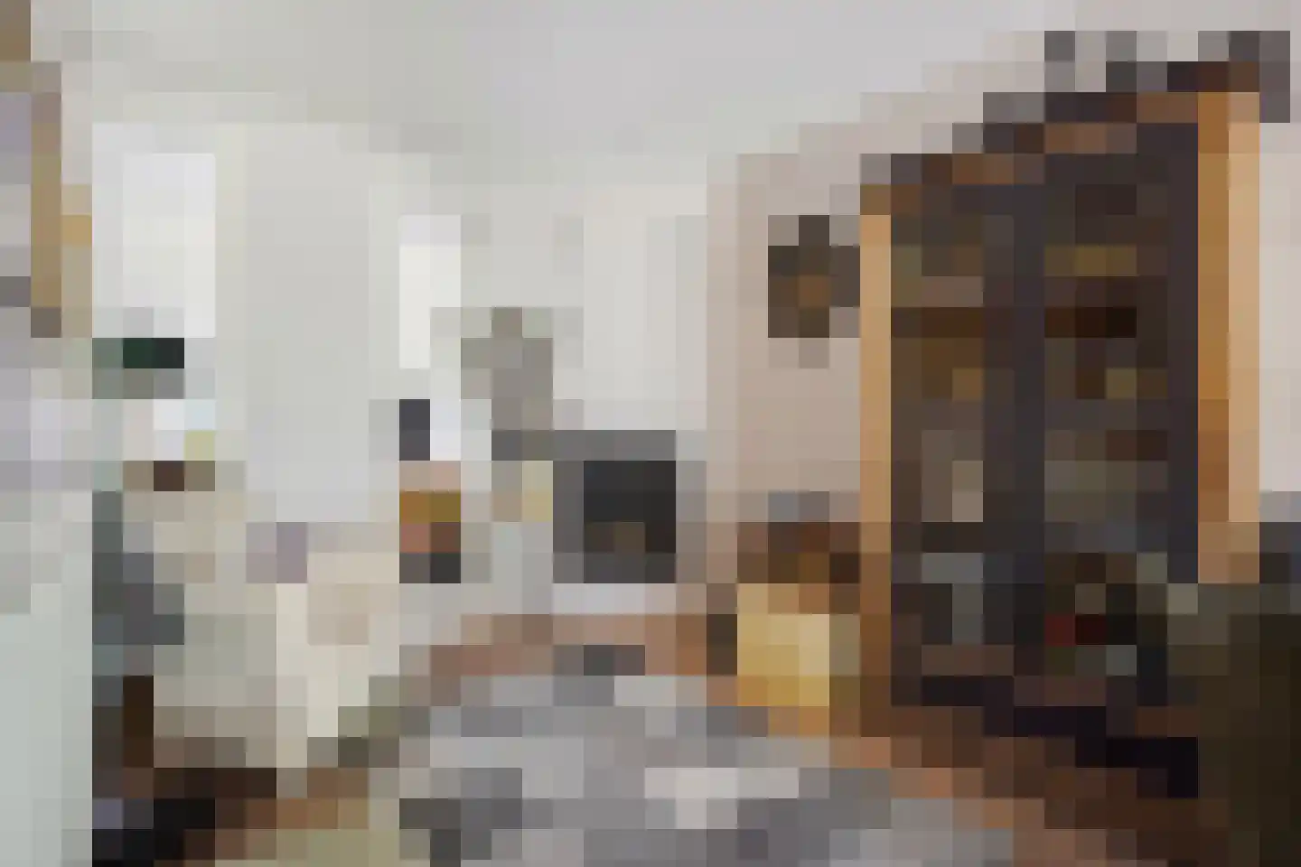Leersumstraat 92 Den Haag thumbnail 12