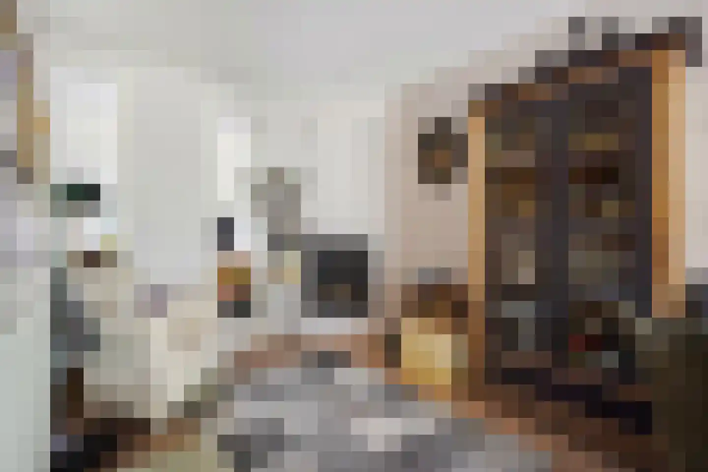 Leersumstraat 92 Den Haag thumbnail 12
