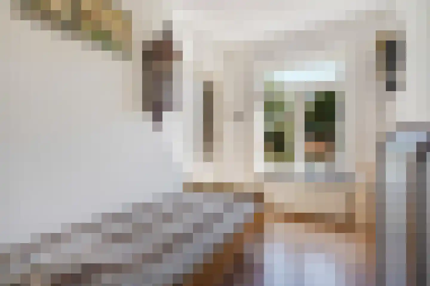 Leersumstraat 92 Den Haag thumbnail 20