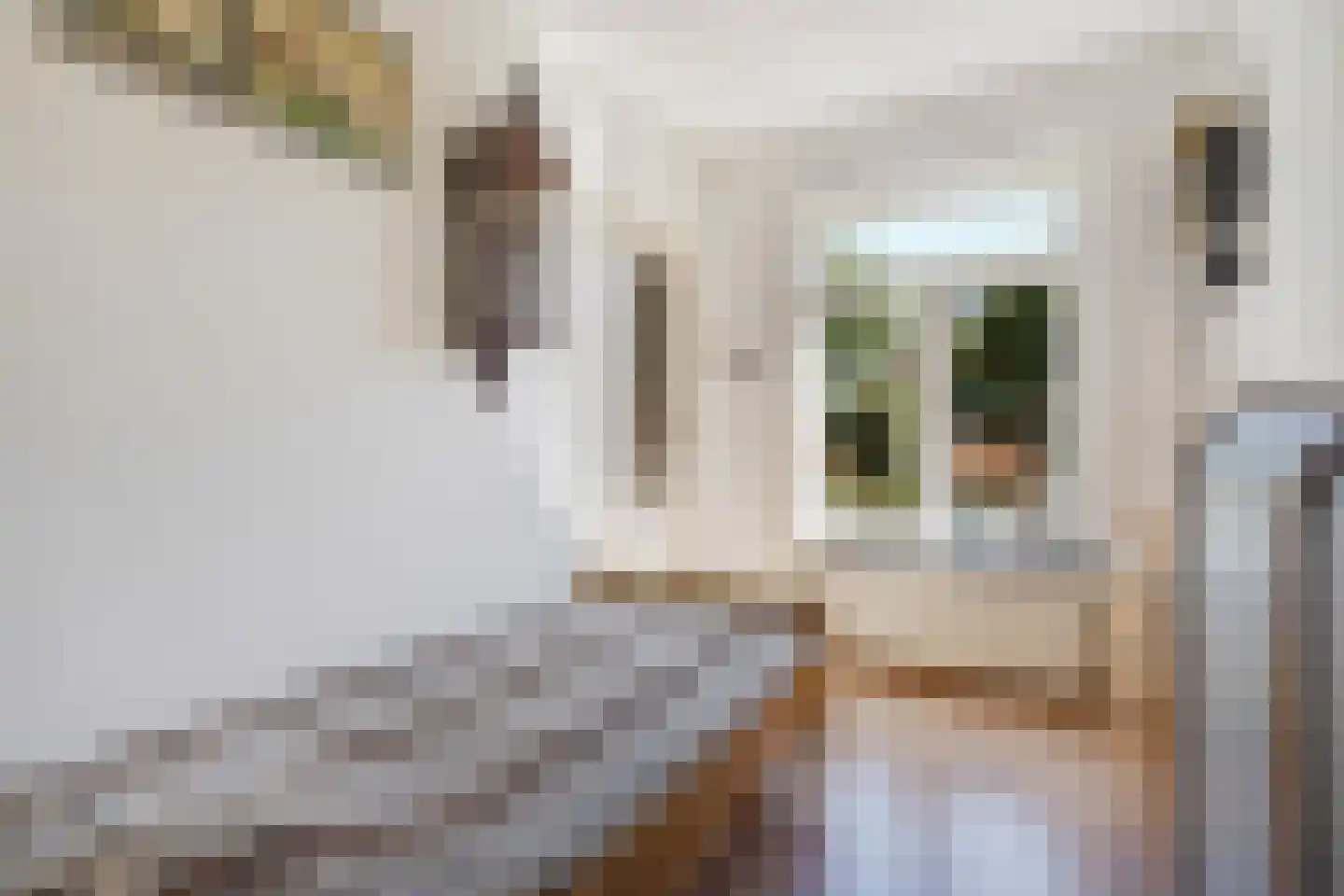Leersumstraat 92 Den Haag thumbnail 20