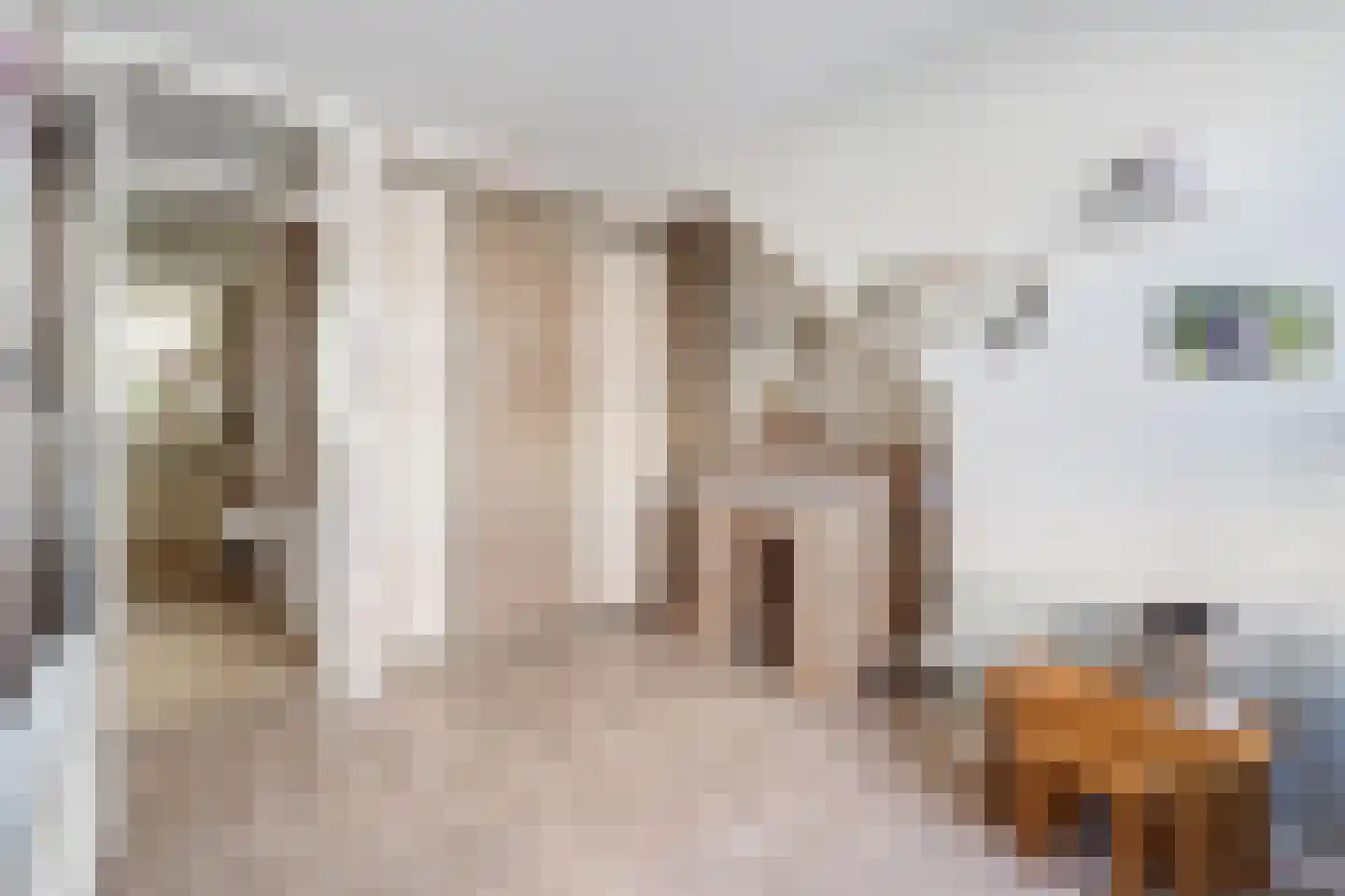 Leersumstraat 92 Den Haag thumbnail 6