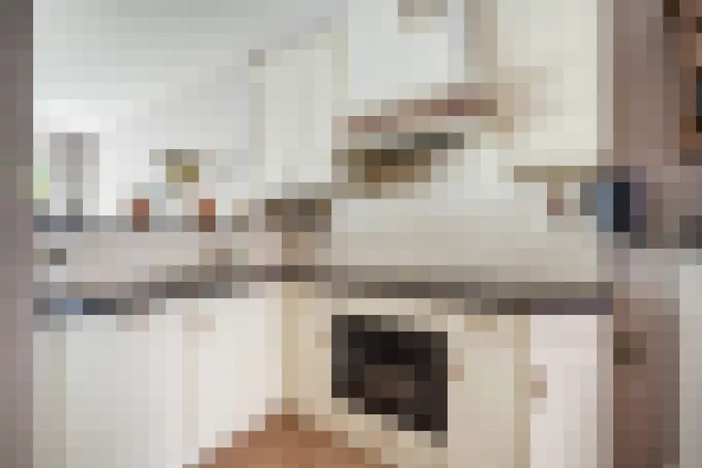 Leersumstraat 92 Den Haag thumbnail 8
