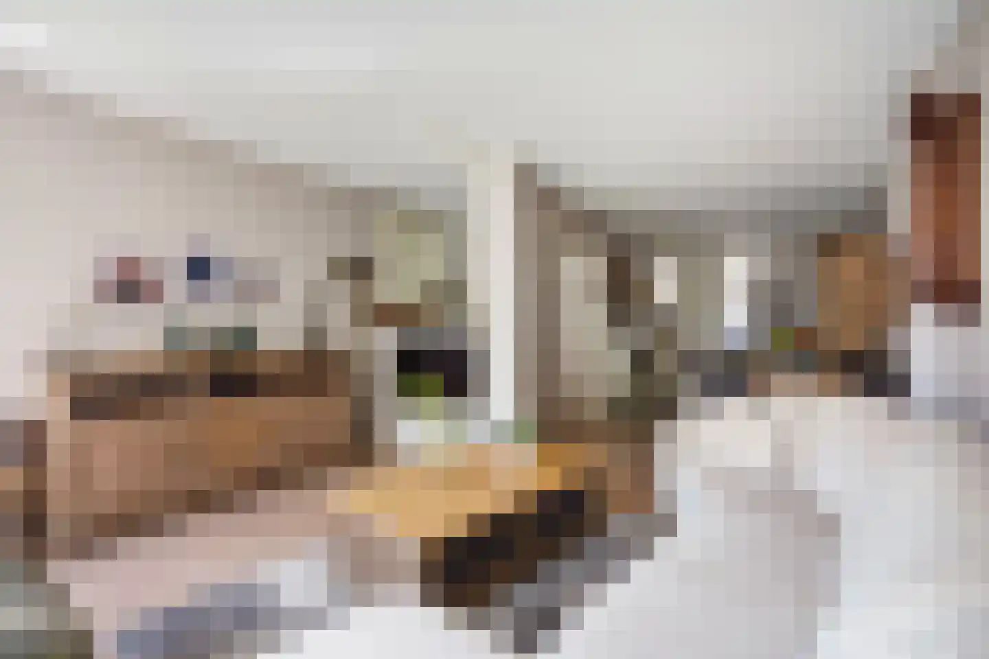 Leersumstraat 92 Den Haag thumbnail 9