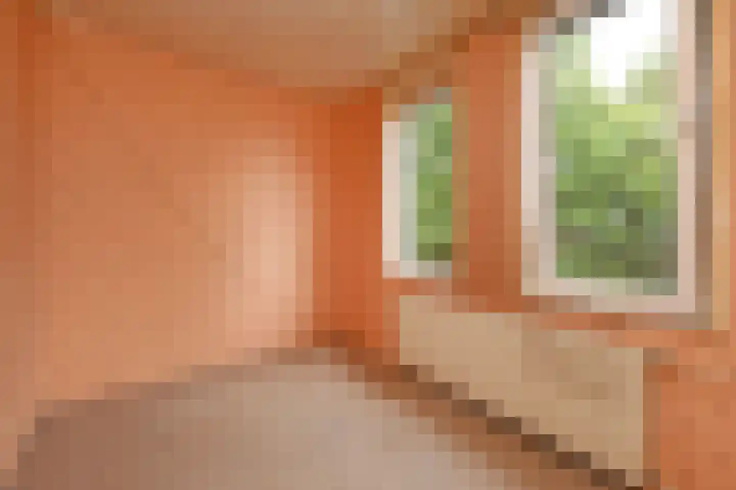 Leersumstraat 95 Den Haag thumbnail 18