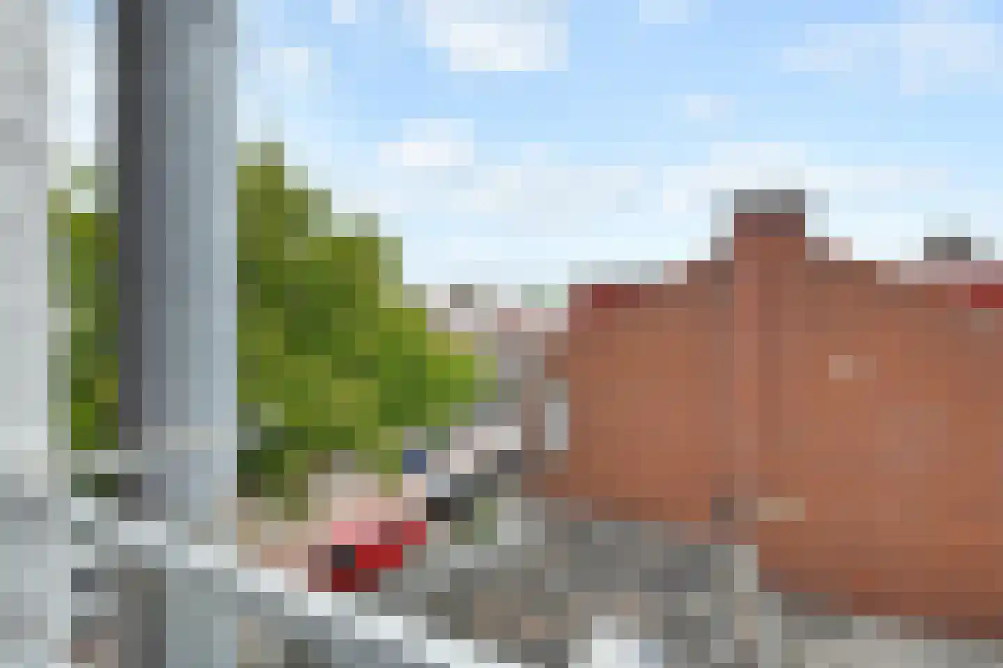 Leersumstraat 95 Den Haag thumbnail 19