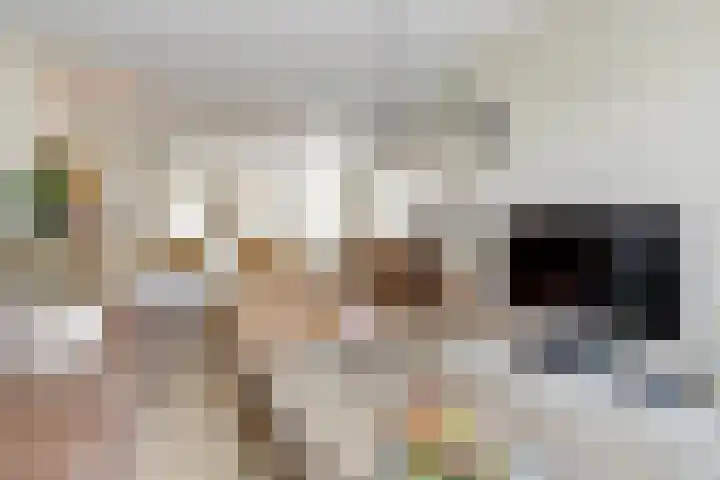 Leerthouwerstraat 11 Geertruidenberg thumbnail 10