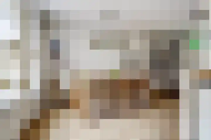 Leerthouwerstraat 11 Geertruidenberg thumbnail 12