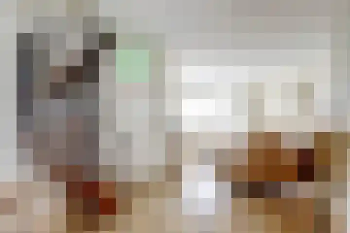 Leerthouwerstraat 11 Geertruidenberg thumbnail 14