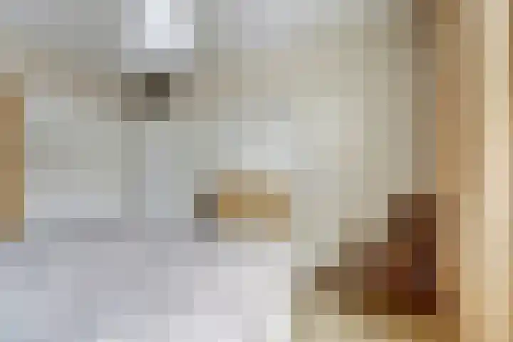 Leerthouwerstraat 11 Geertruidenberg thumbnail 18