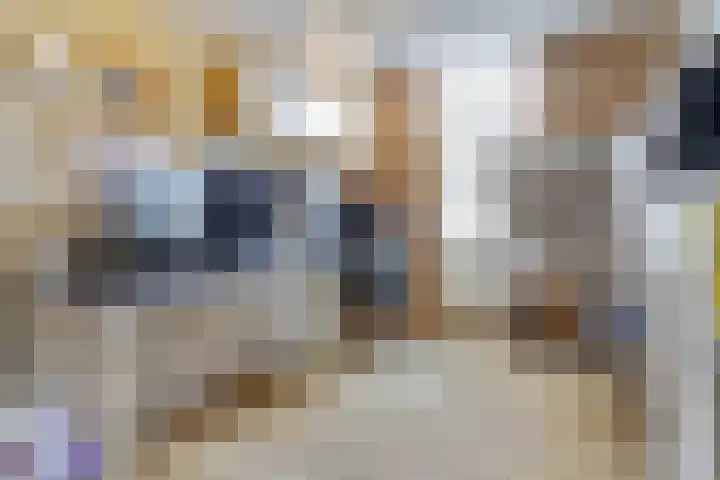 Leerthouwerstraat 11 Geertruidenberg thumbnail 21
