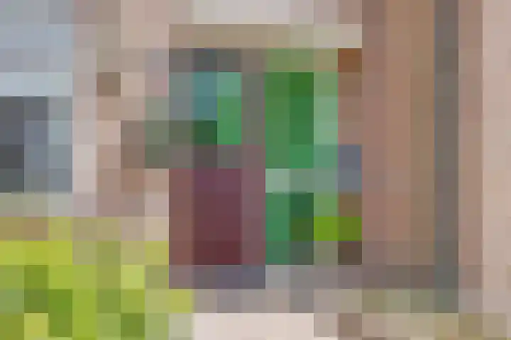 Leerthouwerstraat 11 Geertruidenberg thumbnail 5