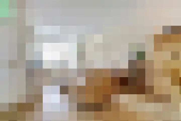 Leerthouwerstraat 11 Geertruidenberg thumbnail 8