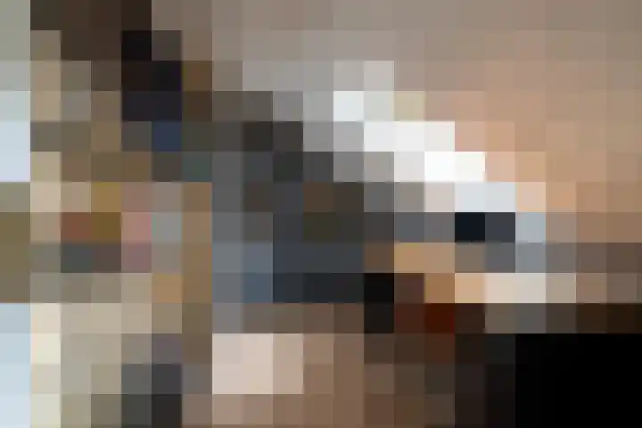 Leerthouwerstraat 13 Geertruidenberg thumbnail 19