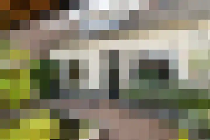 Leerthouwerstraat 13 Geertruidenberg thumbnail 21