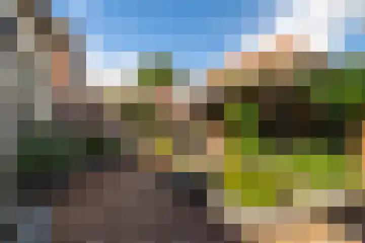 Leerthouwerstraat 13 Geertruidenberg thumbnail 22