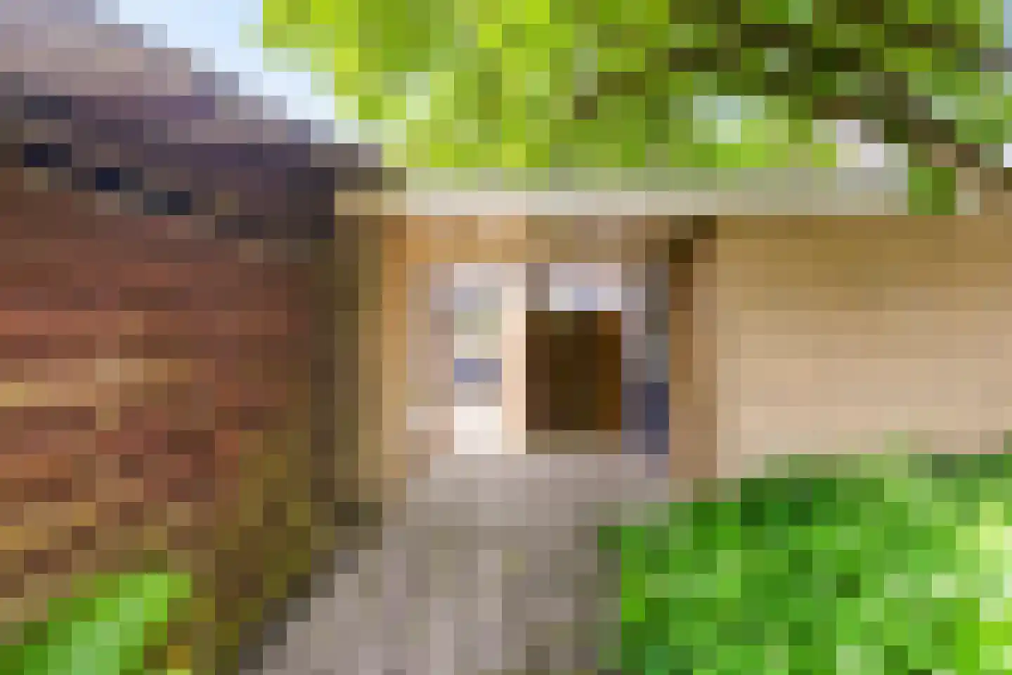 Leerweg 16 Ulrum thumbnail 24