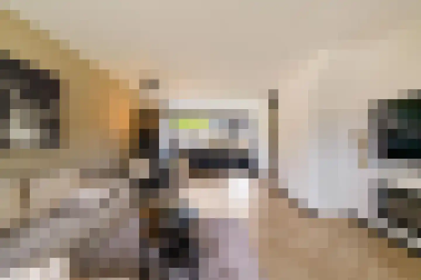 Leerweg 16 Ulrum thumbnail 7