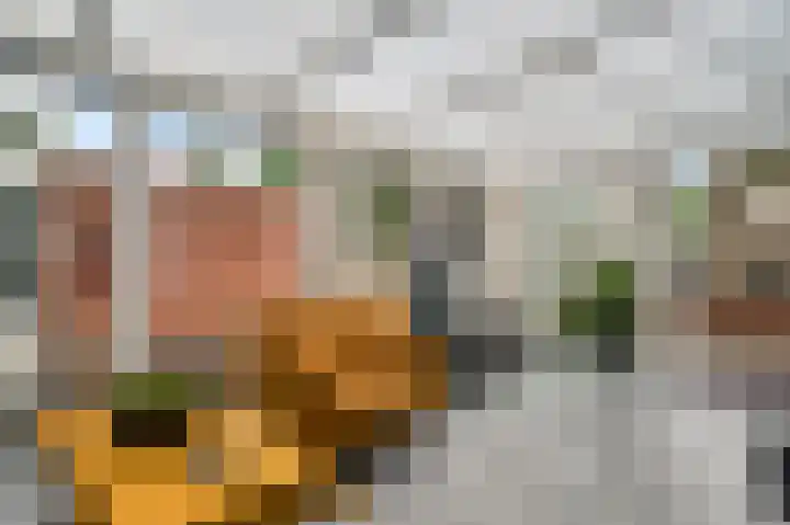 Leesjongenstraat 17 Geleen thumbnail 13