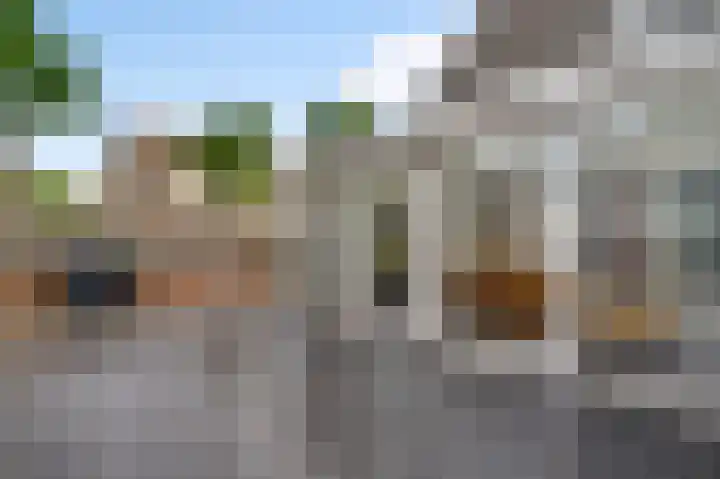 Leesjongenstraat 17 Geleen thumbnail 27