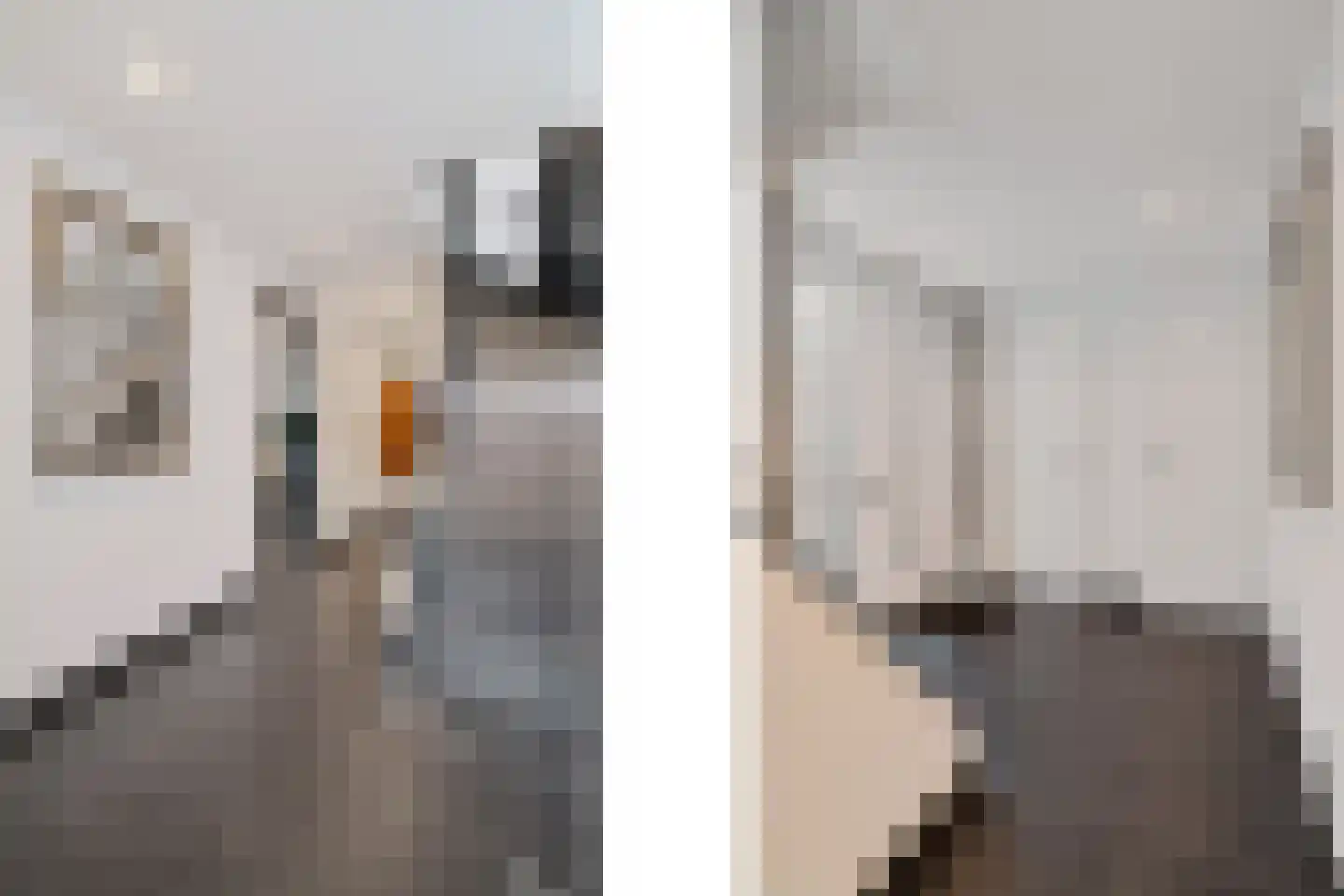 Leesjongenstraat 22 Hoensbroek thumbnail 4