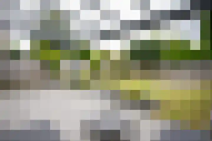 Leesjongenstraat 3 Geleen thumbnail 26