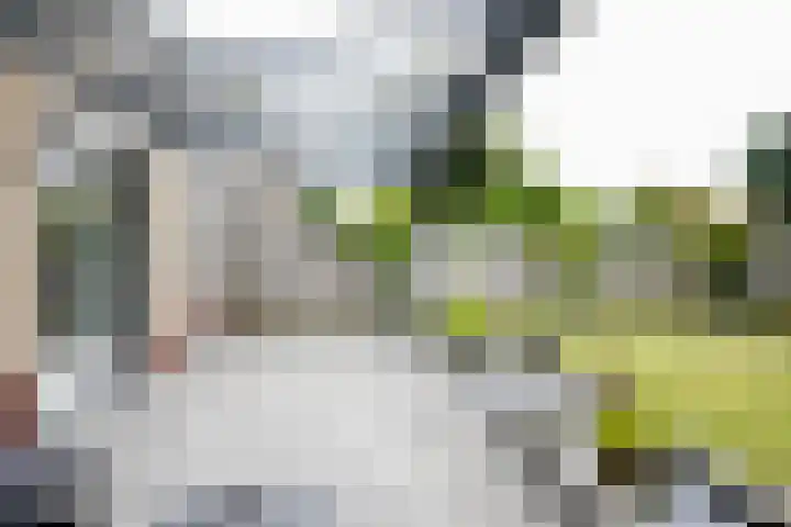 Leesjongenstraat 3 Geleen thumbnail 27
