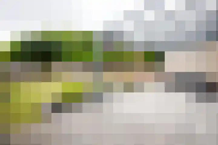 Leesjongenstraat 3 Geleen thumbnail 31