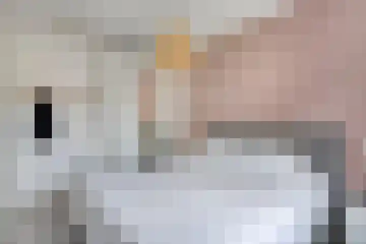 Leesonweg 6 Ederveen thumbnail 14
