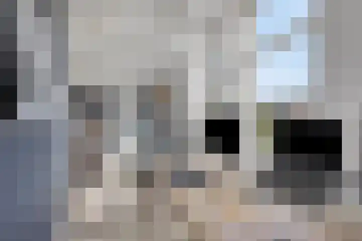 Leesonweg 6 Ederveen thumbnail 18