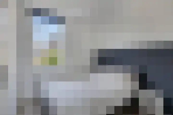 Leesonweg 6 Ederveen thumbnail 19
