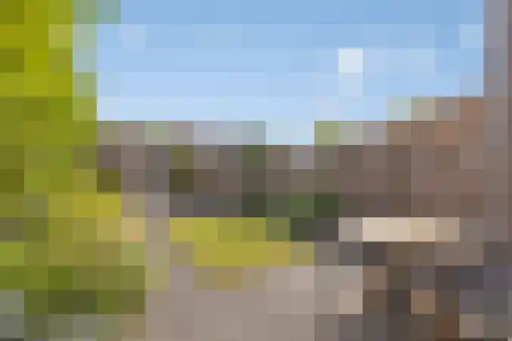 Leesonweg 6 Ederveen thumbnail 22