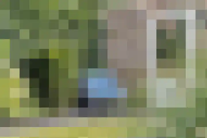 Leesonweg 6 Ederveen thumbnail 27