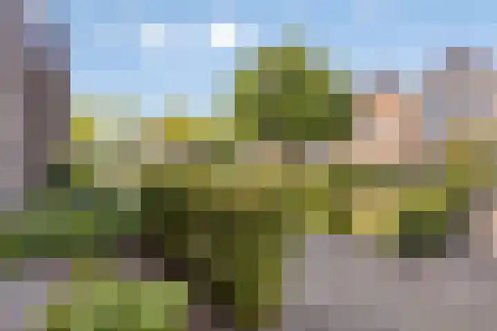 Leesonweg 6 Ederveen thumbnail 28
