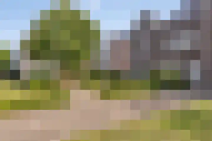 Leesonweg 6 Ederveen thumbnail 29