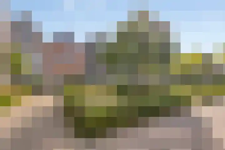 Leesonweg 6 Ederveen thumbnail 30