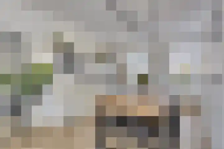 Leesonweg 6 Ederveen thumbnail 5