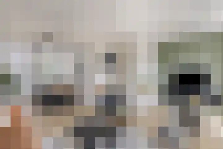 Leesonweg 6 Ederveen thumbnail 9