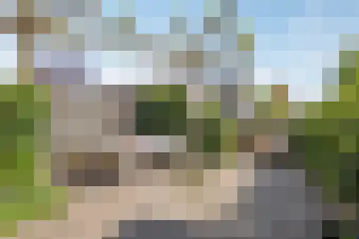 Leestensepad 91 Warnsveld thumbnail 30