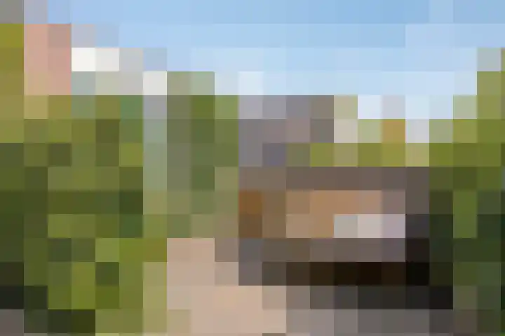 Leestensepad 91 Warnsveld thumbnail 33