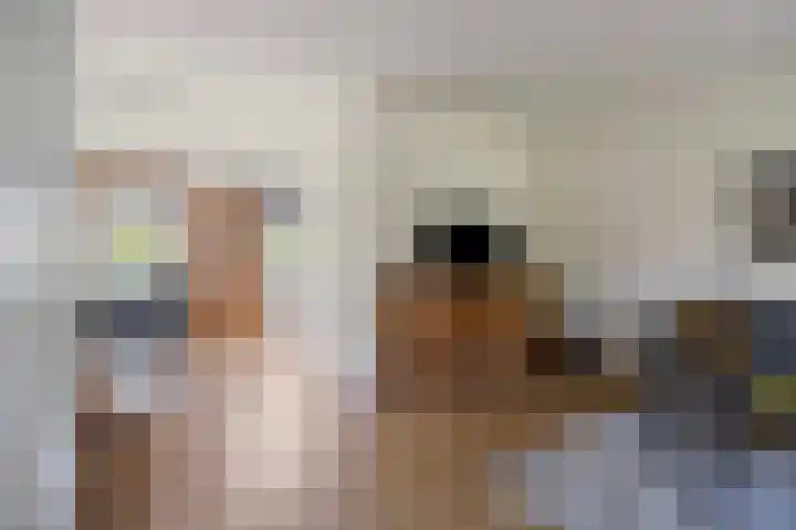 Leestensepad 91 Warnsveld thumbnail 9
