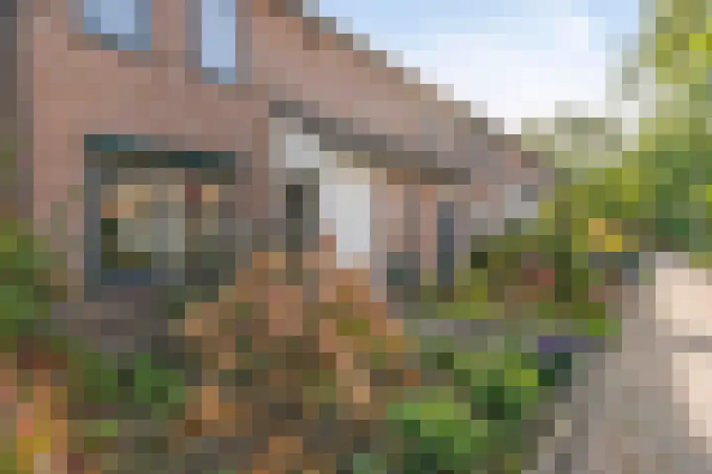 Leestensepad 97 Warnsveld thumbnail 30