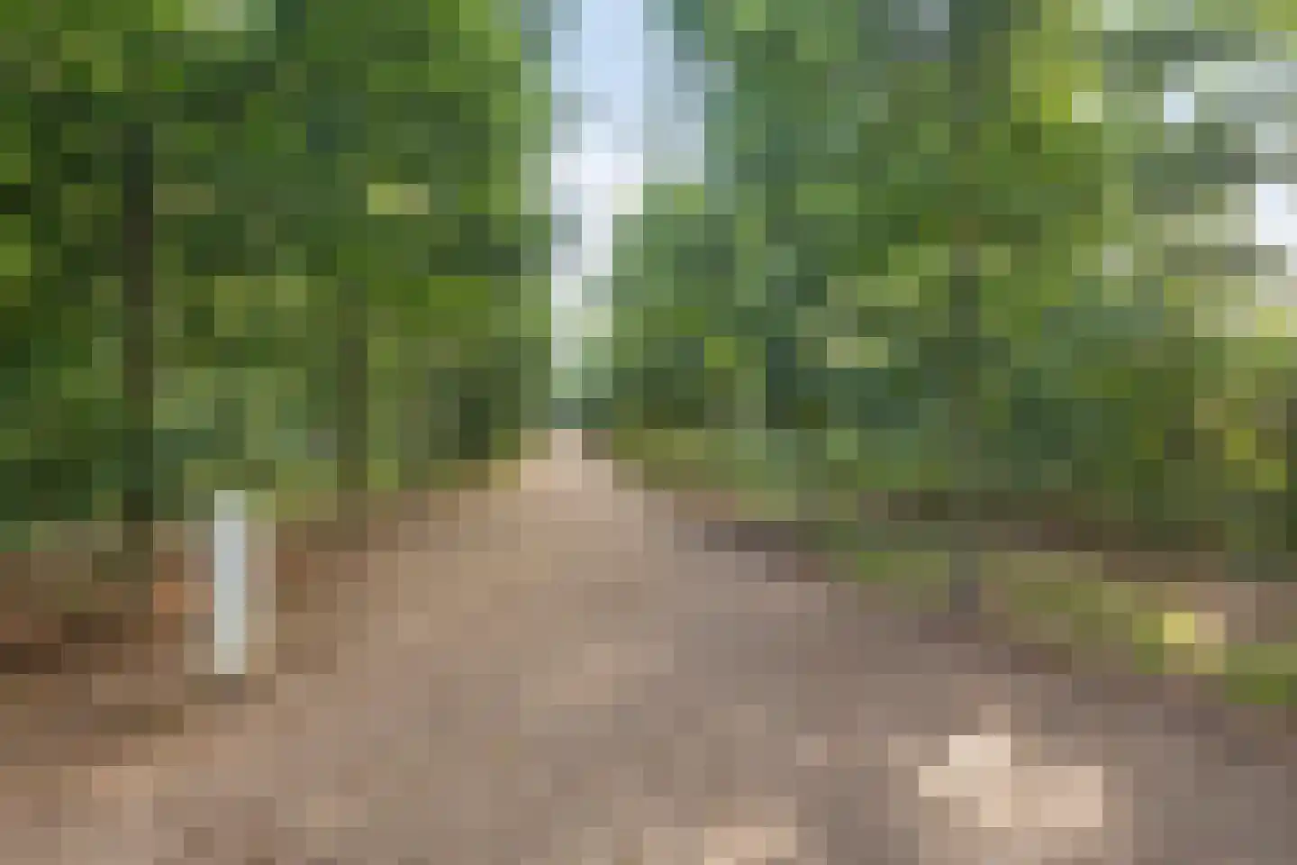 Leestensepad 97 Warnsveld thumbnail 32