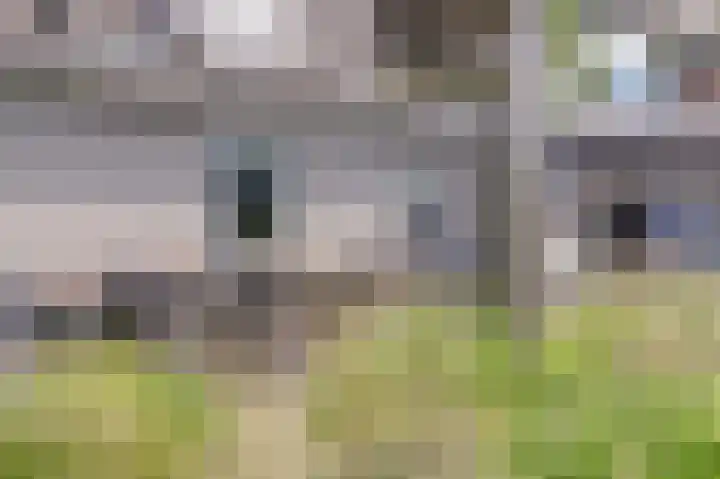 Leestenseweg 18 Zutphen thumbnail 11