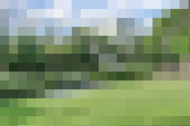 Leestenseweg 18 Zutphen thumbnail 15