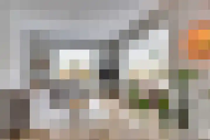 Leestenseweg 18 Zutphen thumbnail 18