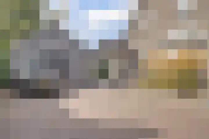Leestenseweg 18 Zutphen thumbnail 5