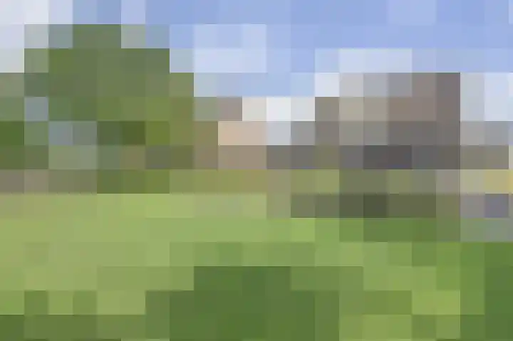 Leestenseweg 18 Zutphen thumbnail 51